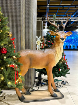 Олені лісові