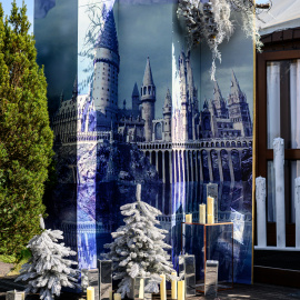 Harry Potter - фото 12