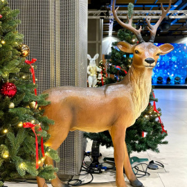 Дитяча магія  - фото 17