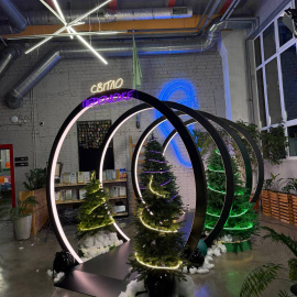 Новорічний грудень 2025 - фото 10