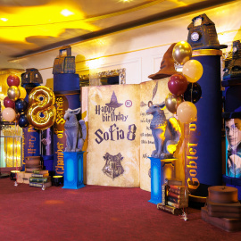 Harry potter - фото 3