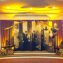 Harry potter - фото 11