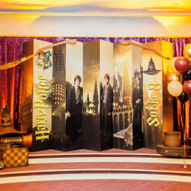 Harry potter - фото 12