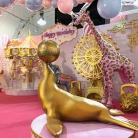 Pink&Gold Circus - фото 6